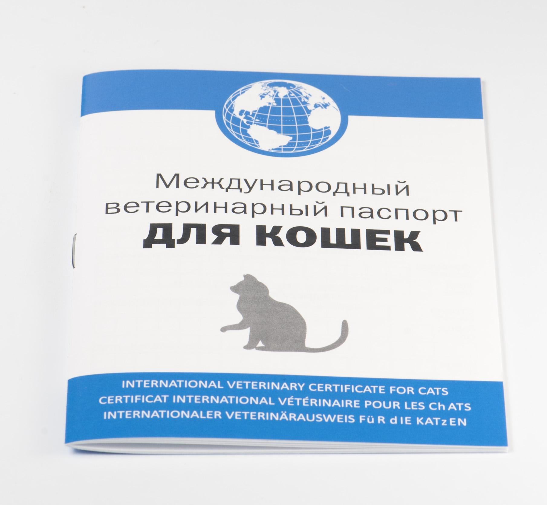 Как сделать международный ветеринарный паспорт для кошек Как сделать международный ветеринарный паспорт для кошек