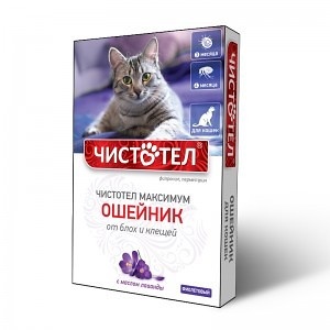 Чистотел Максимум ошейник для кошек фиолет