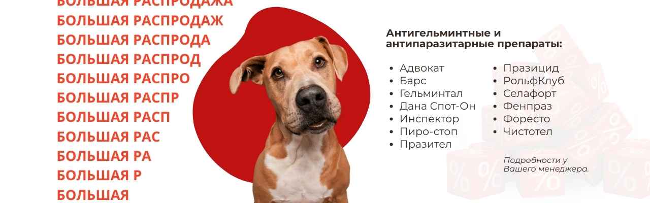 Распродажа