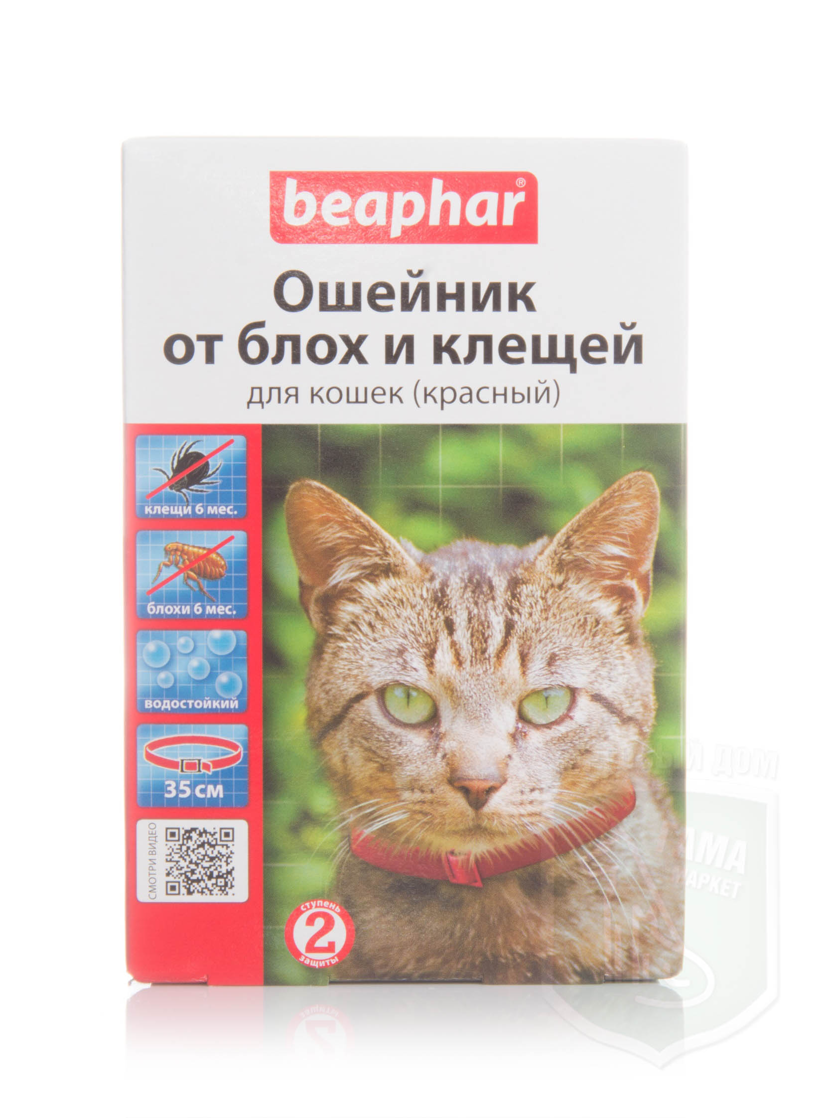 Фореста для кошек ошейник. Ошейник от блох для кошек Beaphar. Беафар ошейник для кошек красный. Беафар ошейник для котят. Beaphar ошейник от блох и клещей для кошек.