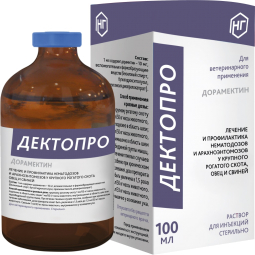 ДектоПро, 100 мл