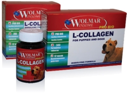 Wolmar Winsome Pro Bio Collagen 300 таб