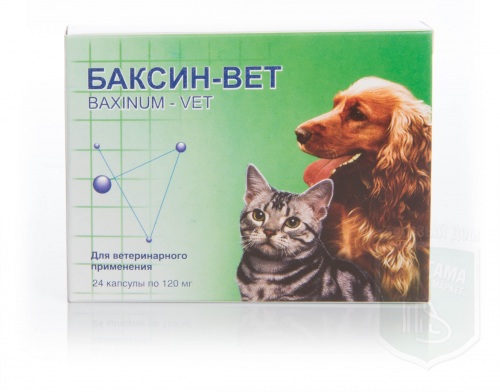 Баксин, 24 капсулы по 120 мг