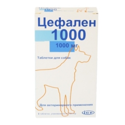 Цефален 1000