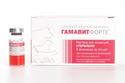 Гамавитфорте, 10 мл (упаковка, 5 фл.)