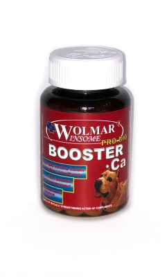 Wolmar Winsome Pro Bio BOOSTER Ca 540 таб