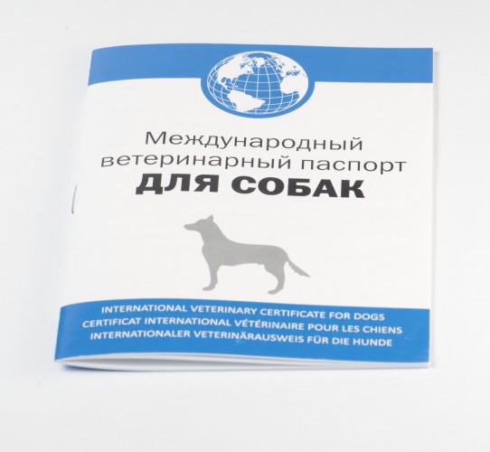 Международный ветпаспорт для собак