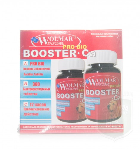 Wolmar Winsome Pro Bio Booster Ca, 360 таблеток
